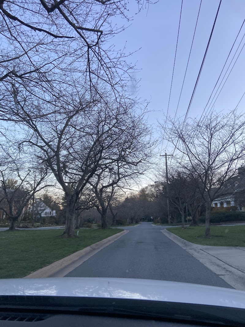 Kenwood Cherry Blossoms