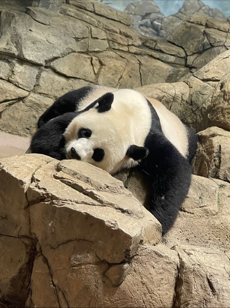 Smithsonian National Zoological Park