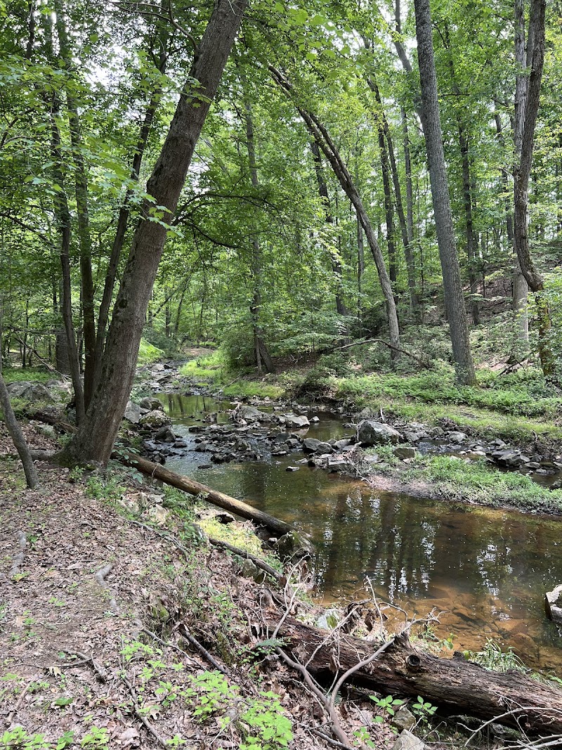 Wolf Trap Loop Trail