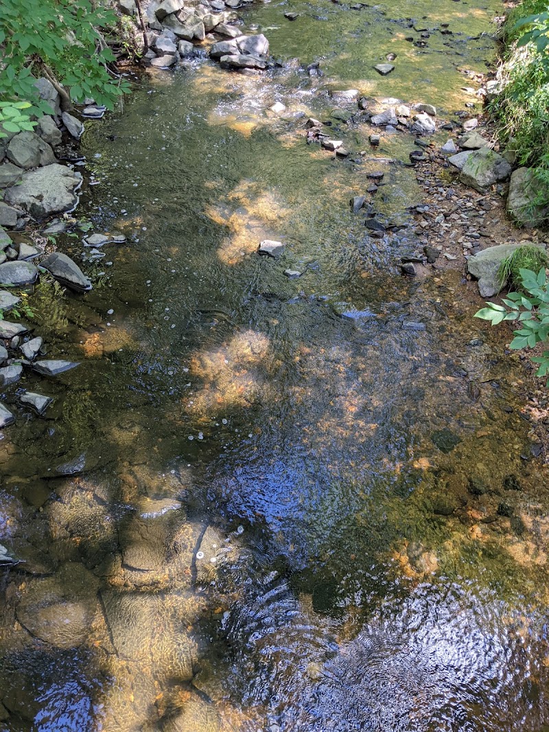 Wolf Trap Loop Trail